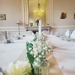 Cosmos & コントレクセヴィル