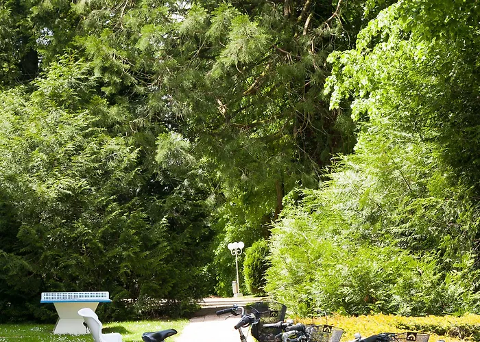 Cosmos & 3* Контрексвиль